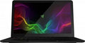 Razer Blade Stealth RZ09-01963E31-R3U1 Ultrabook (Core i7 7th Gen/16 GB/256 GB SSD/Windows 10) Laptop