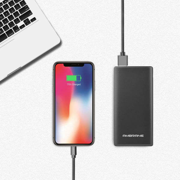 Ambrane PP-125 10000 mAh Power Bank