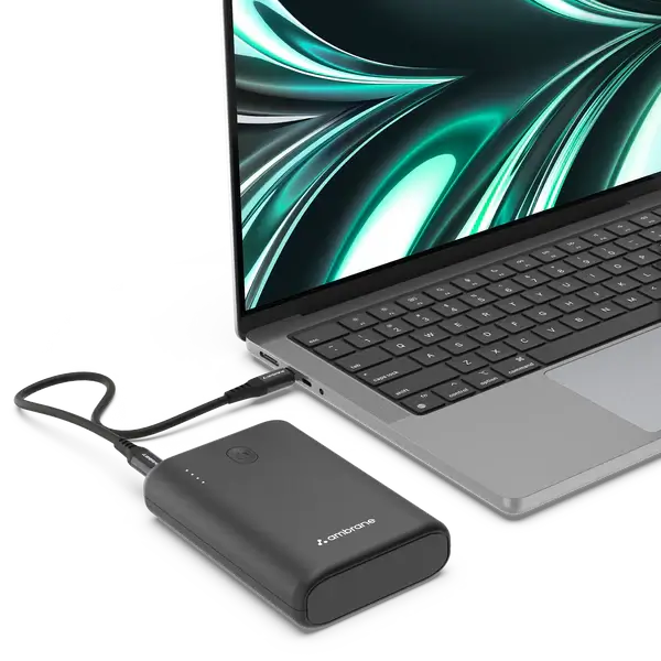Ambrane PowerLit 45 15000 mAh Power Bank