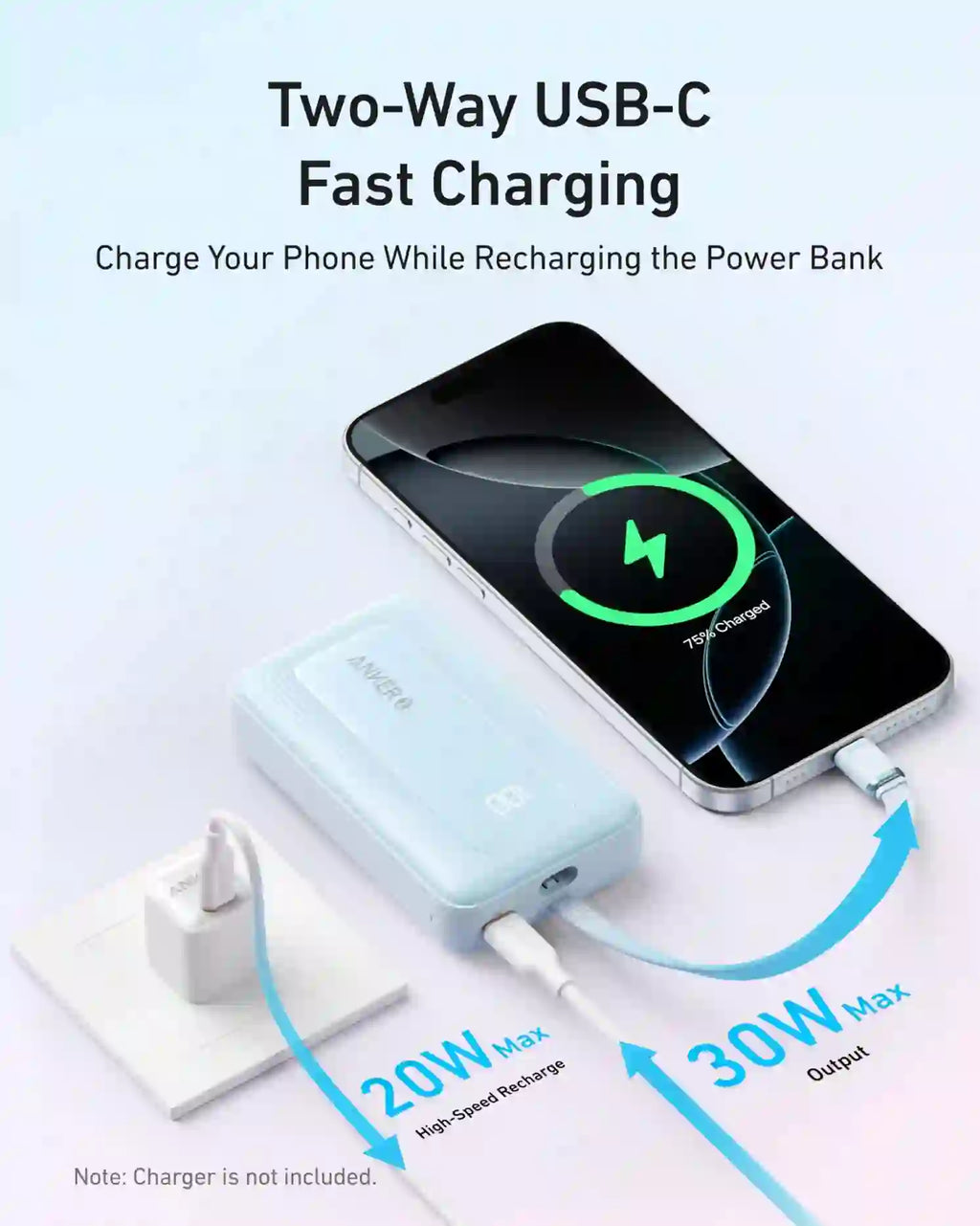 Anker Zolo A1689 20000 mAh Power Bank