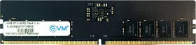 EVM EVMT16G6000U88P 16 GB DDR5-6000 Desktop RAM