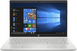 HP Pavilion 14-ce3065tu (172V6PA) Laptop (Core i5 10th Gen/8 GB/1 TB 128 GB SSD/Windows 10) Laptop