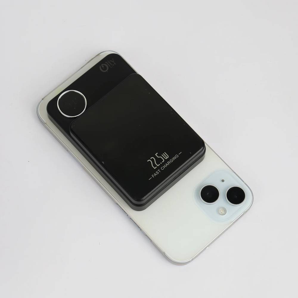 OlivLife OLW009 10000 mAh Power Bank