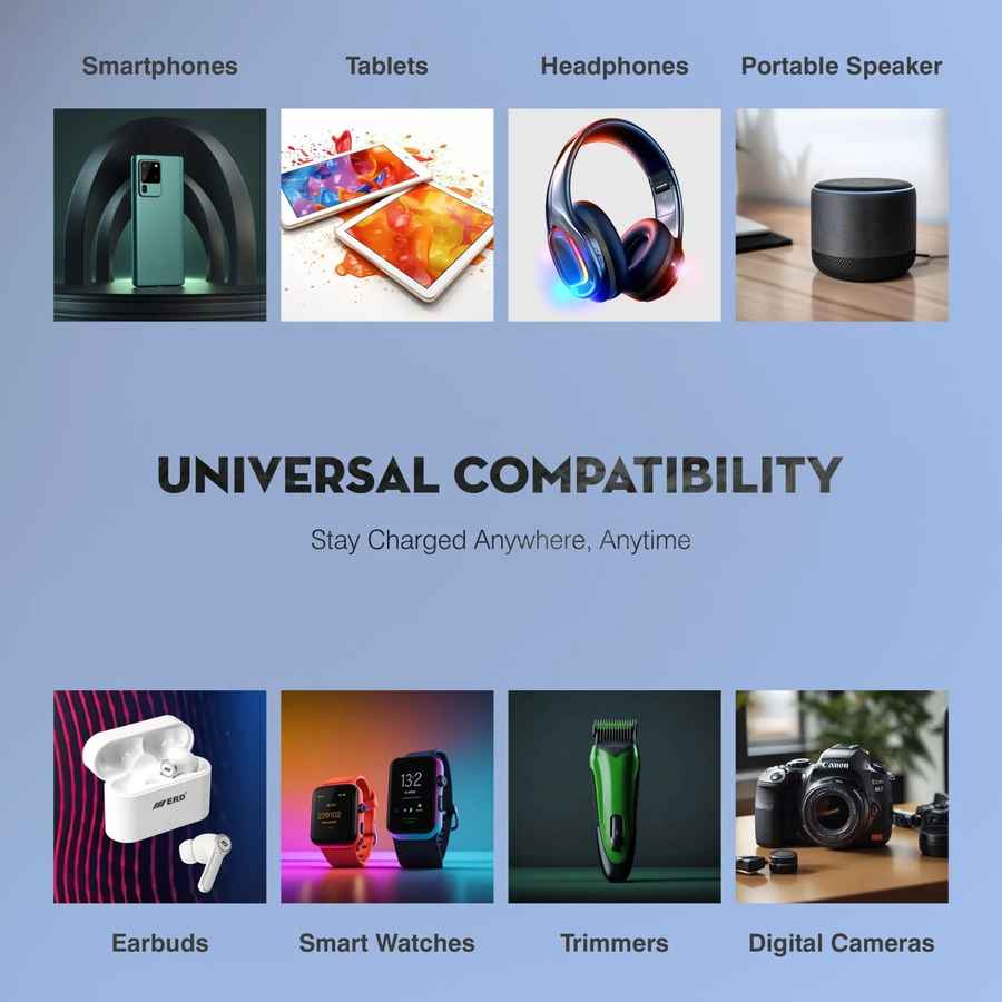ERD PB-160 10000 mAh Power Bank